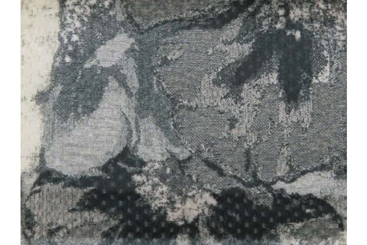 Carbon Desenli DG 5273 V5