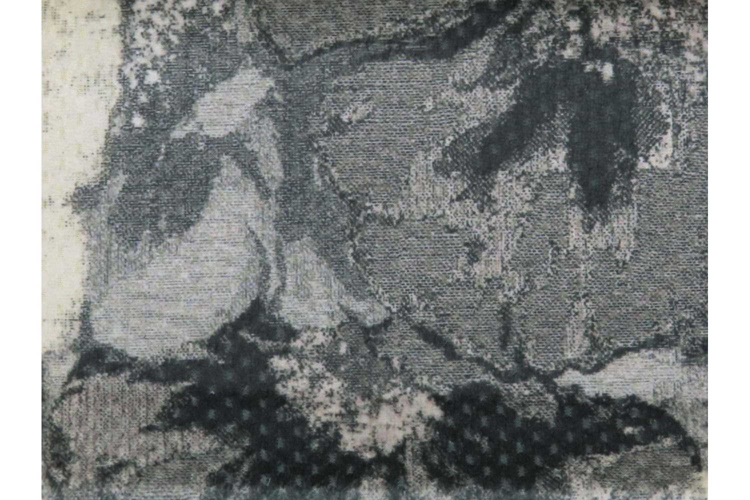 Carbon Desenli DG 5273 V5